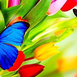 Meet your Posher, Jan